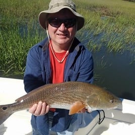 Redfish Fishing in Charleston, South Carolina