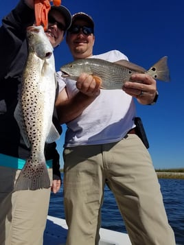 South Carolina Redfish on the Fly