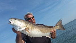 South Carolina Redfish on the Fly