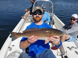 Shallow Stalking Sportfish Trip