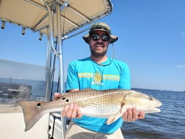 Shallow Stalking Sportfish Trip