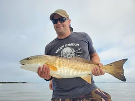 South Carolina Redfish on the Fly