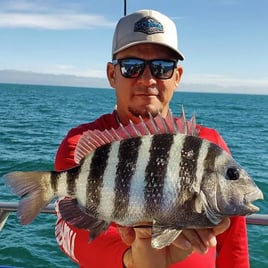 Sheepshead Special - 35' Donzi