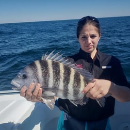 Sheepshead Special - 35' Donzi