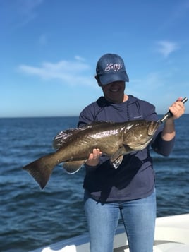 Bradenton Classic Nearshore