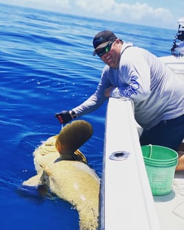 Goliath Grouper Handline Special