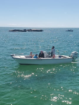 Goliath Grouper Handline Special