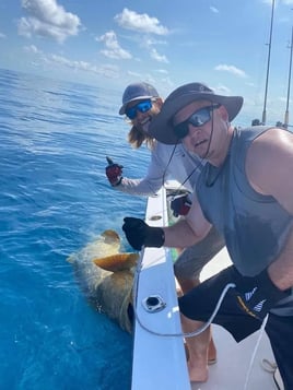 Goliath Grouper Handline Special