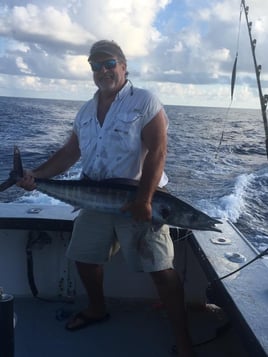 Bahamas Offshore Tuna Trip