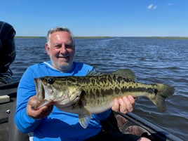 Largemouth Hookfest