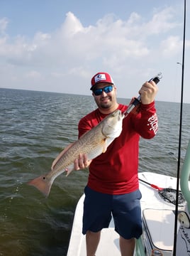 Redfish Fishing in Rio Hondo, Texas