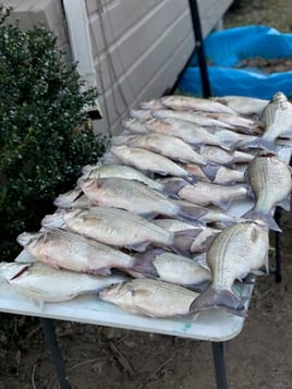 Fishing Lake Nacogdoches