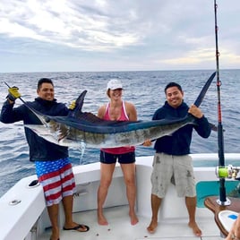 Cabo Trophy Hunt - 28' Cuddy Cabin