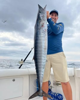 Cabo Trophy Hunt - 28' Cuddy Cabin