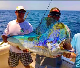 Cabo Trophy Hunt - 28' Cuddy Cabin