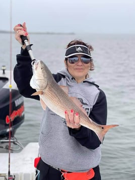 Aransas Pass Inshore Slam