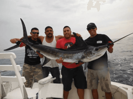 Cabo All-Inclusive Deep Sea Trip