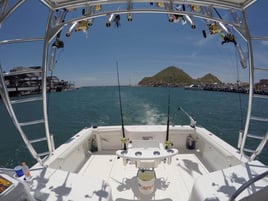 Cabo All-Inclusive Deep Sea Trip