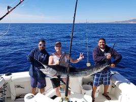 Cabo All-Inclusive Deep Sea Trip