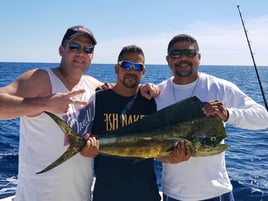 Cabo All-Inclusive Deep Sea Trip