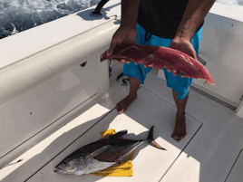 Cabo All-Inclusive Deep Sea Trip