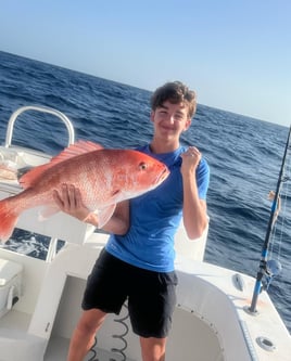 Snapper Smacker