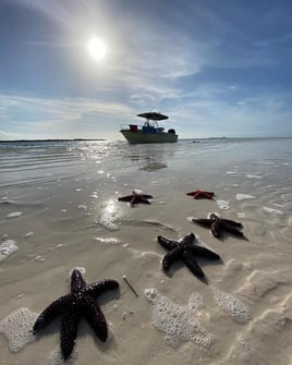 Reef Fishing Adventure Bahamas