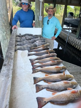 Black Drum, Redfish Fishing in Saint Bernard, Louisiana