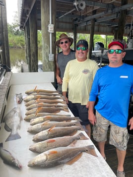 Black Drum, Redfish, Speckled Trout Fishing in Saint Bernard, Louisiana