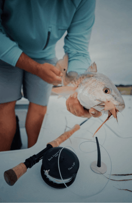 Lowcountry's Tidal Fishing