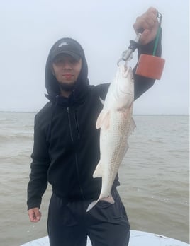 Matagorda Bay Catch and Release