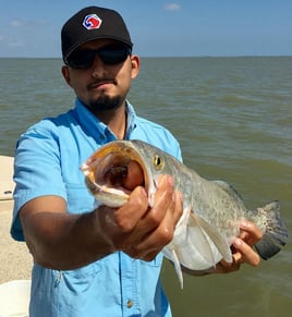 Matagorda Bay Catch and Release