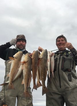 The "Big Three" in Matagorda