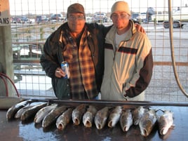 The "Big Three" in Matagorda