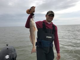 Matagorda Bay Big Three