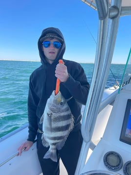 Sheepshead Fishing in Gulf Shores, Alabama