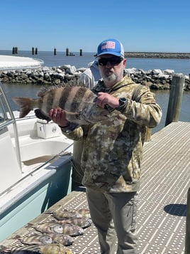 Sheepshead Fishing in Gulf Shores, Alabama