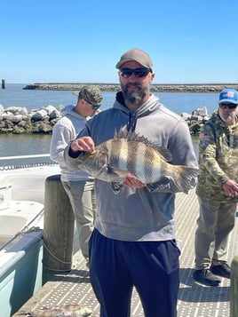 Sheepshead Fishing in Gulf Shores, Alabama