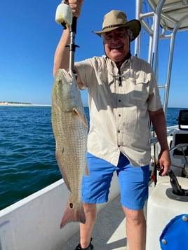 Redfish Fishing in Orange Beach, Alabama