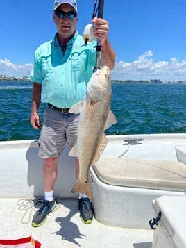 Redfish Fishing in Orange Beach, Alabama