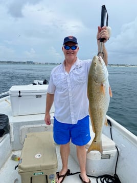 Redfish Fishing in Orange Beach, Alabama