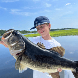 Largemouth Bass Fishing in Windermere, Florida