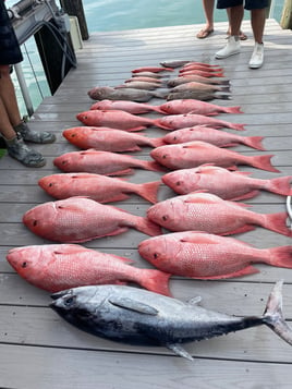 Sarasota Offshore Grocery Run