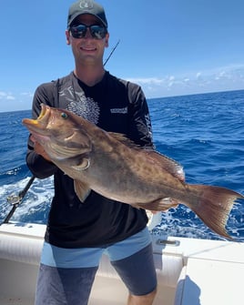 Sarasota Offshore Grocery Run