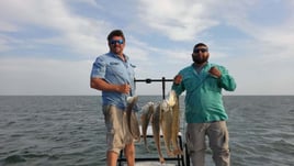 SPI Bay Fishing Adventure