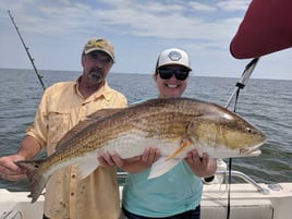 Biloxi Inshore Adventure