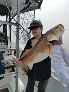 Biloxi Inshore Adventure