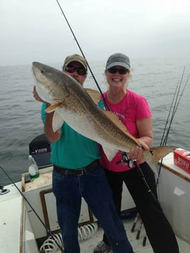 Biloxi Inshore Adventure