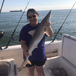 Sharks From a Big Boat