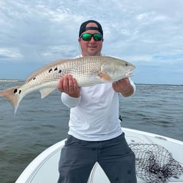 4-6 Hour Inshore Fishing Trip